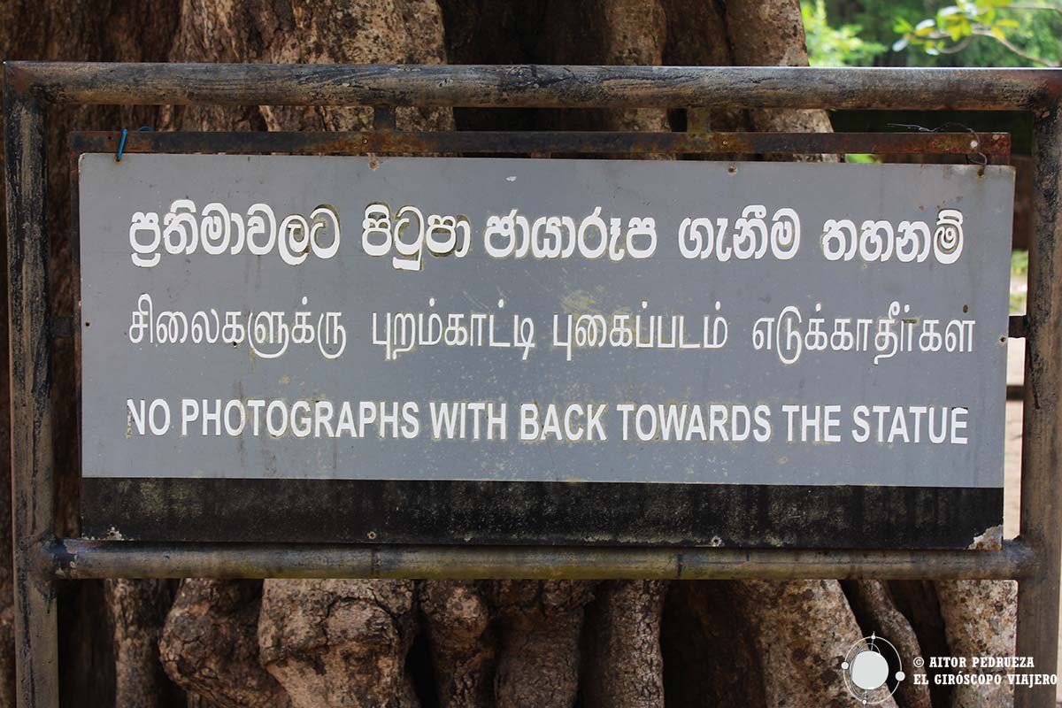 Cartel advirtiendo sobre no sacar fotos dando la espalda a las estatuas de Buda