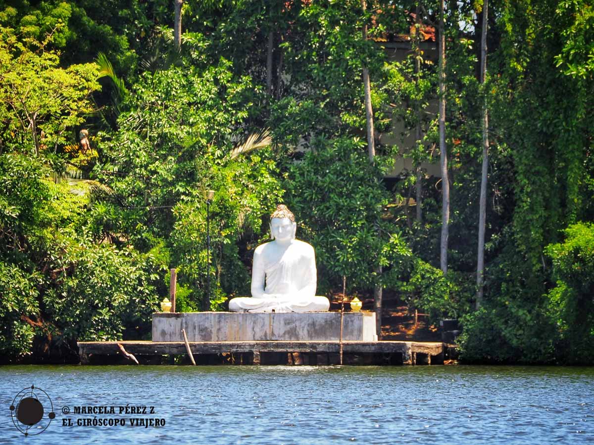 Templo Budista Kothduwa. Safari del río Maddu Ganga