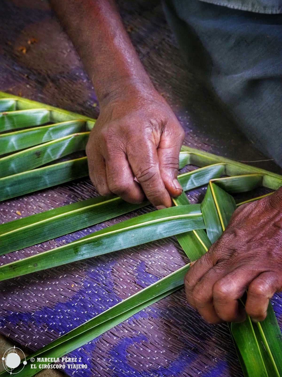 Trenzado de hojas para la elaboración de un cesto