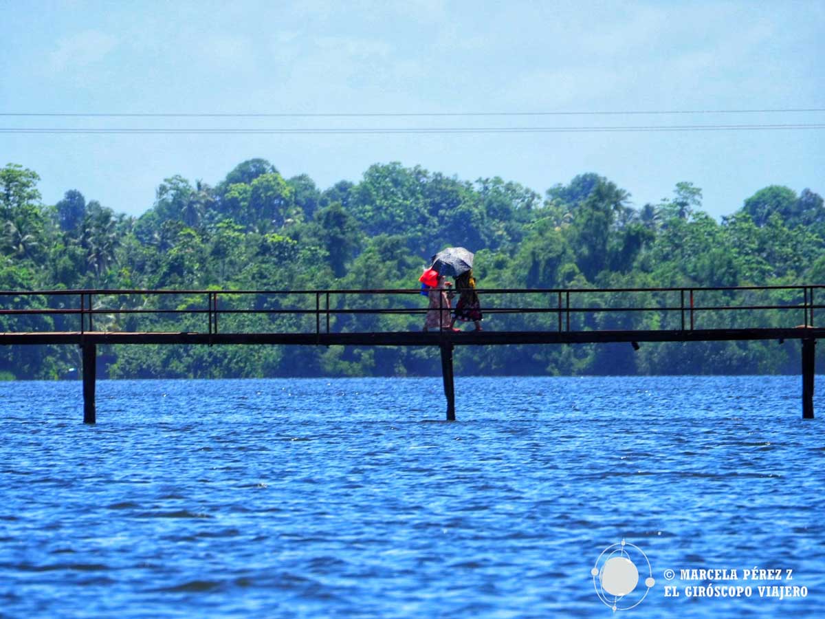 Recorrido del safari por el río Madhu Ganga